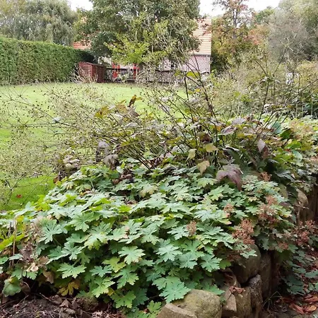 75 Qm Fuer 4 Personen Am Naturschutzgebiet Anklamer Stadtbruch * Bugewitz