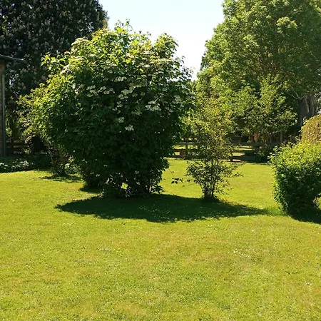 75 Qm Fuer 4 Personen Am Naturschutzgebiet Anklamer Stadtbruch Bugewitz